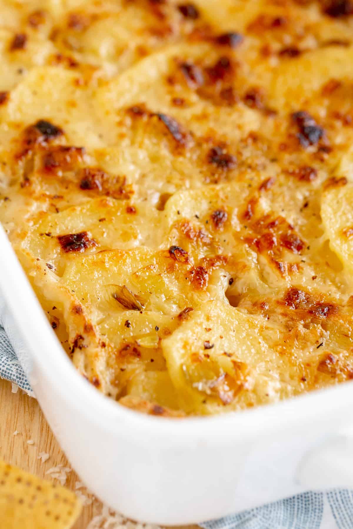 A closeup of browned cheesy potatoes in a white baking dish.