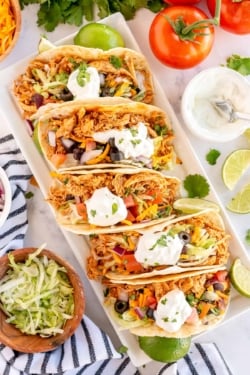 An over the top shot of a platter of chicken tacos with toppings.