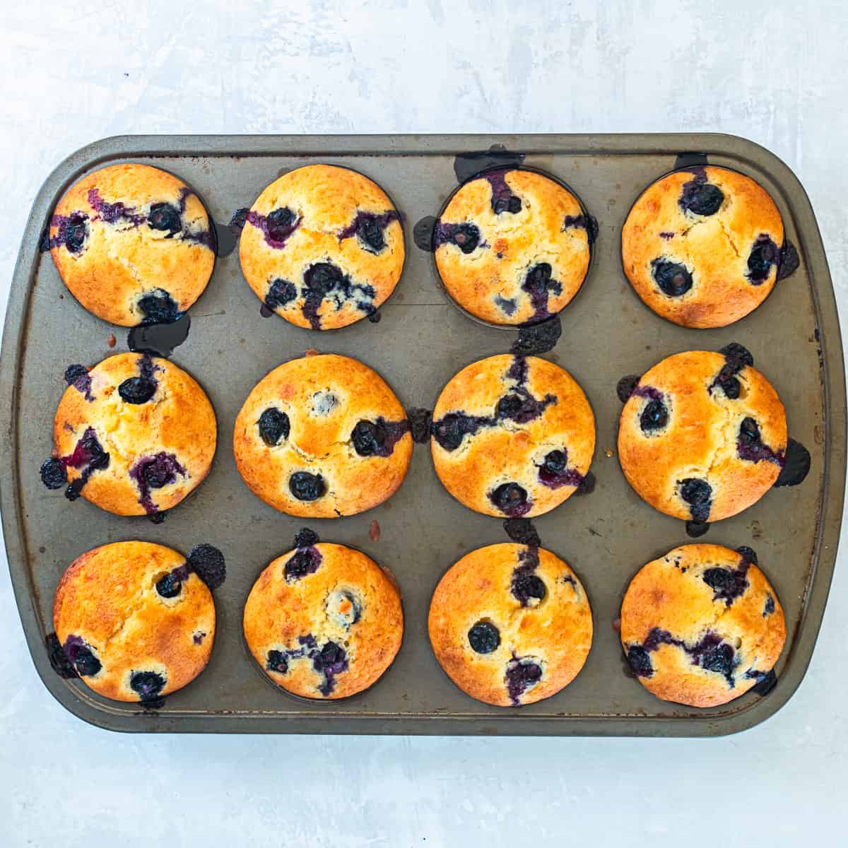 Freshly baked Non-dairy blueberry muffins cooling in a muffin pan.
